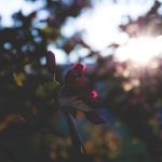 红宝石平台登录网址准确入口及常见问题详细解答 7tt73elul