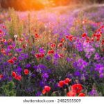 a.v视频直播:开启全新互动娱乐时代 8s8x1kf