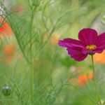 立即注册,首存送200%优惠助你畅玩无忧! kmao6wpbs