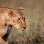 ab8直播平台全新上线,精彩赛事不容错过 oj7s9mkcv0