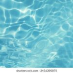 “字花开奖时间”最新公告与结果查询指南 4l35u